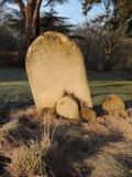 image of grave number 724473